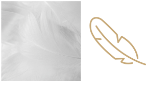 100% softe, saugfähige und hochwertige Qualität