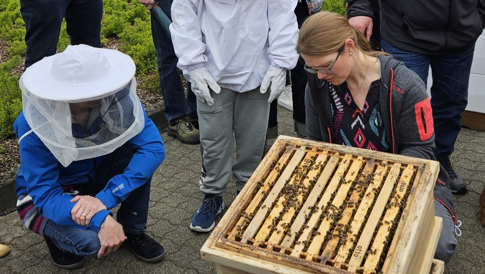 Anschauliche Bienenkunde beim KLEIN Bienenhaus