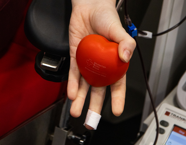 Hand knetet DRK Ball während der Blutentnahme